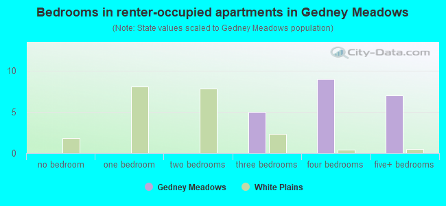 Bedrooms in renter-occupied apartments in Gedney Meadows