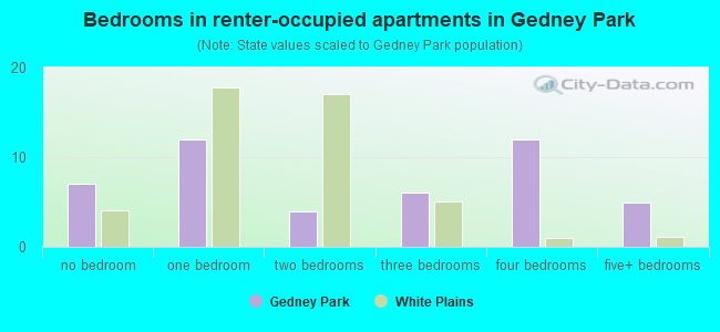 Bedrooms in renter-occupied apartments in Gedney Park
