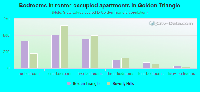 Bedrooms in renter-occupied apartments in Golden Triangle