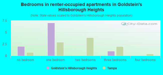 Bedrooms in renter-occupied apartments in Goldstein's Hillsborough Heights