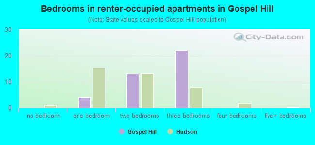 Bedrooms in renter-occupied apartments in Gospel Hill