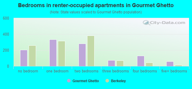 Bedrooms in renter-occupied apartments in Gourmet Ghetto