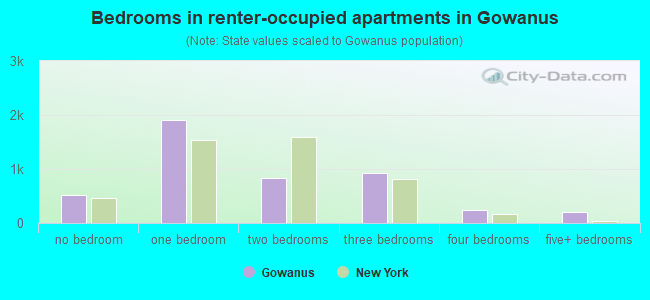 Bedrooms in renter-occupied apartments in Gowanus