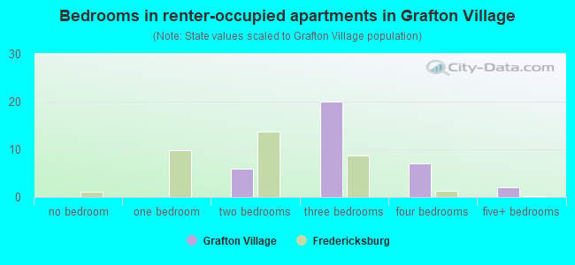 Bedrooms in renter-occupied apartments in Grafton Village