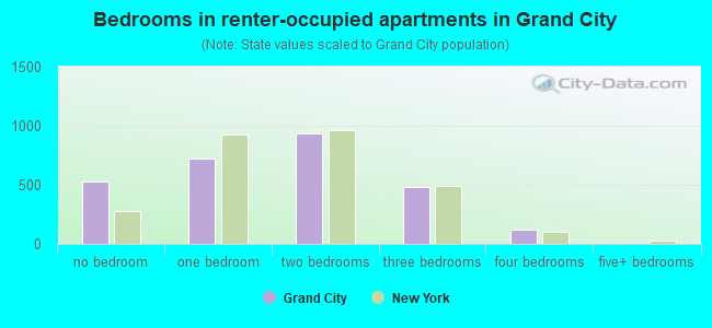 Bedrooms in renter-occupied apartments in Grand City