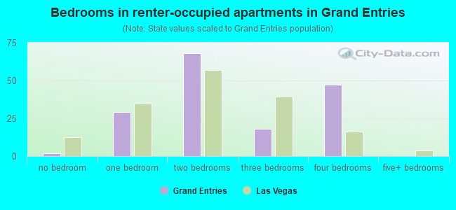 Bedrooms in renter-occupied apartments in Grand Entries