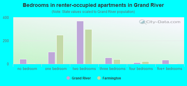 Bedrooms in renter-occupied apartments in Grand River