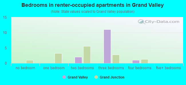 Bedrooms in renter-occupied apartments in Grand Valley