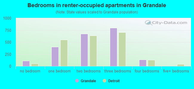 Bedrooms in renter-occupied apartments in Grandale