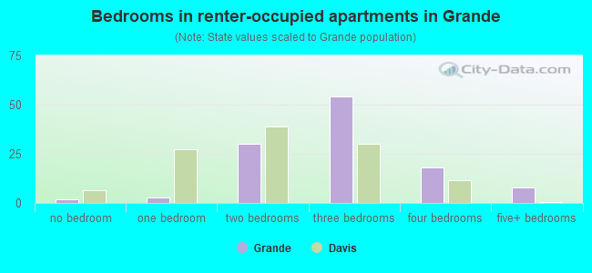 Bedrooms in renter-occupied apartments in Grande