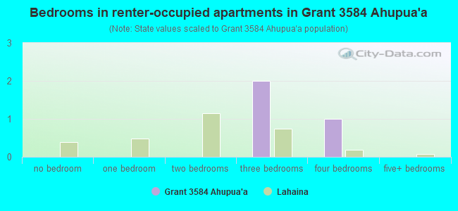 Bedrooms in renter-occupied apartments in Grant 3584 Ahupua`a