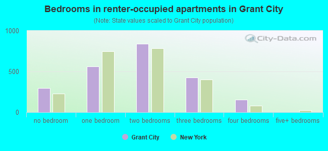 Bedrooms in renter-occupied apartments in Grant City
