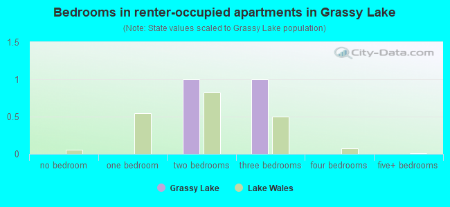 Bedrooms in renter-occupied apartments in Grassy Lake