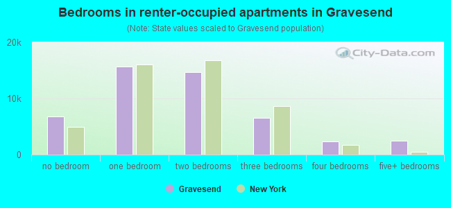 Bedrooms in renter-occupied apartments in Gravesend