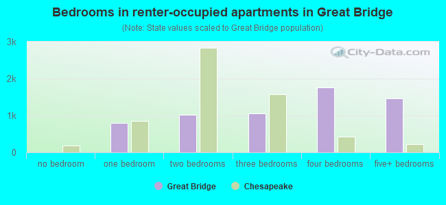 Bedrooms in renter-occupied apartments in Great Bridge
