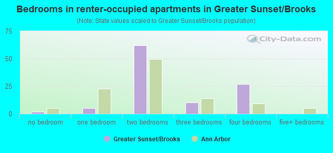 Bedrooms in renter-occupied apartments in Greater Sunset/Brooks