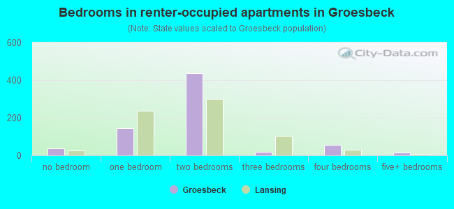 Bedrooms in renter-occupied apartments in Groesbeck