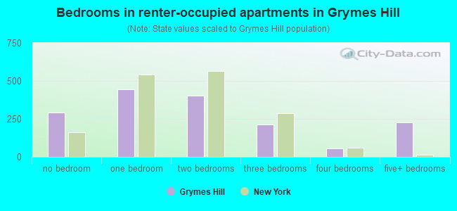 Bedrooms in renter-occupied apartments in Grymes Hill