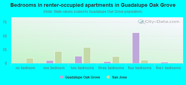Bedrooms in renter-occupied apartments in Guadalupe Oak Grove
