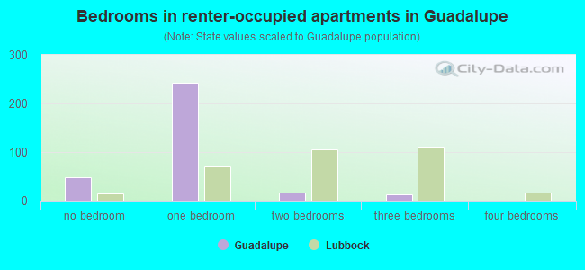 Bedrooms in renter-occupied apartments in Guadalupe