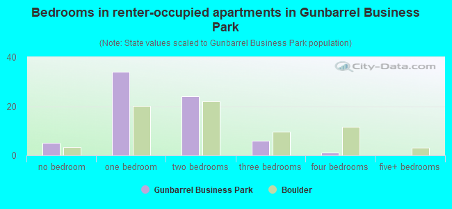 Bedrooms in renter-occupied apartments in Gunbarrel Business Park