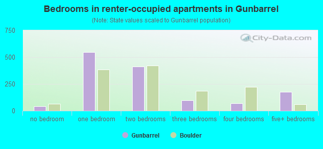 Bedrooms in renter-occupied apartments in Gunbarrel