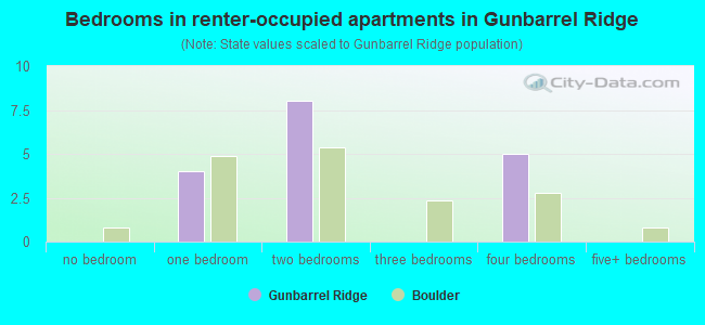 Bedrooms in renter-occupied apartments in Gunbarrel Ridge