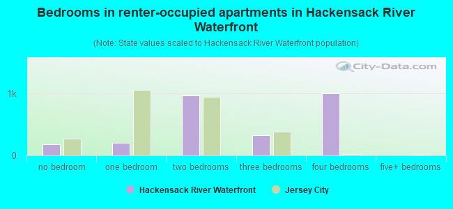 Bedrooms in renter-occupied apartments in Hackensack River Waterfront