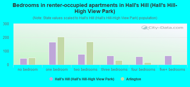 Bedrooms in renter-occupied apartments in Hall's Hill (Hall's Hill-High View Park)