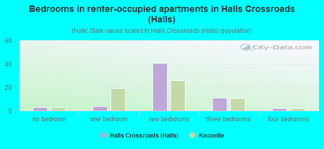 Bedrooms in renter-occupied apartments in Halls Crossroads (Halls)