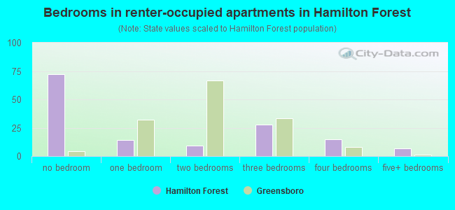 Bedrooms in renter-occupied apartments in Hamilton Forest