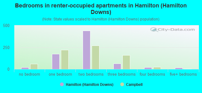 Bedrooms in renter-occupied apartments in Hamilton (Hamilton Downs)