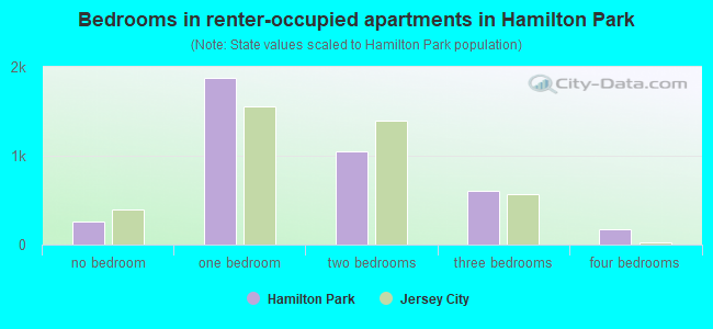 Bedrooms in renter-occupied apartments in Hamilton Park