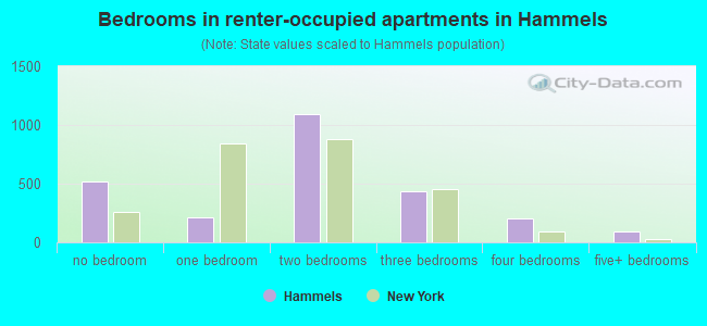 Bedrooms in renter-occupied apartments in Hammels