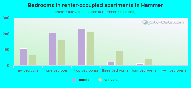 Bedrooms in renter-occupied apartments in Hammer