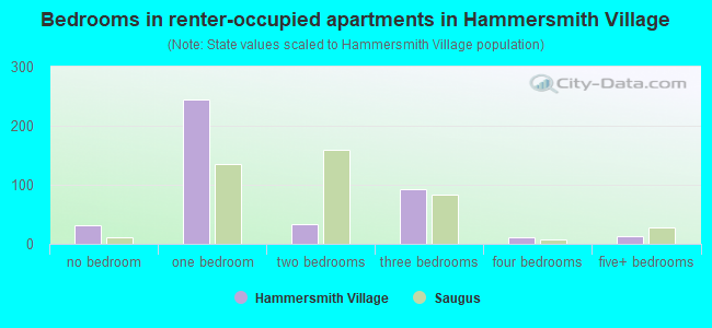 Bedrooms in renter-occupied apartments in Hammersmith Village