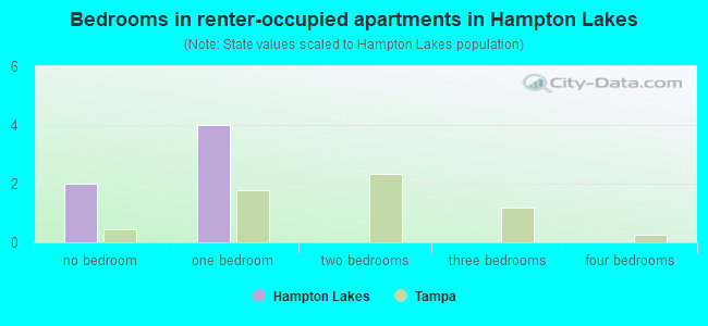 Bedrooms in renter-occupied apartments in Hampton Lakes