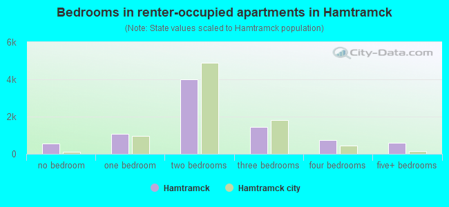Bedrooms in renter-occupied apartments in Hamtramck