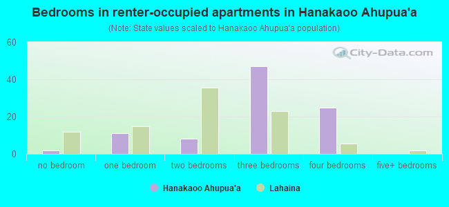 Bedrooms in renter-occupied apartments in Hanakaoo Ahupua`a