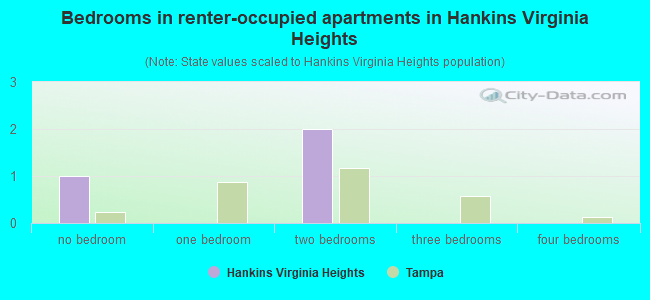 Bedrooms in renter-occupied apartments in Hankins Virginia Heights