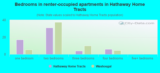 Bedrooms in renter-occupied apartments in Hathaway Home Tracts