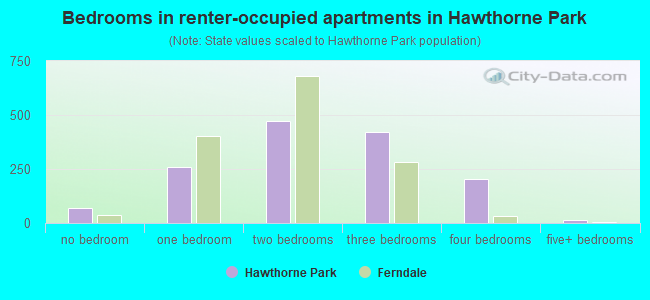 Bedrooms in renter-occupied apartments in Hawthorne Park
