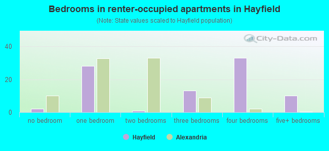 Bedrooms in renter-occupied apartments in Hayfield