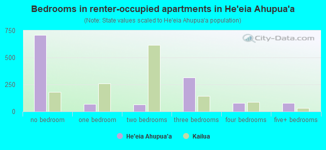 Bedrooms in renter-occupied apartments in He`eia Ahupua`a