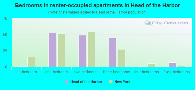 Bedrooms in renter-occupied apartments in Head of the Harbor