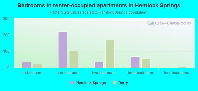 Bedrooms in renter-occupied apartments in Hemlock Springs