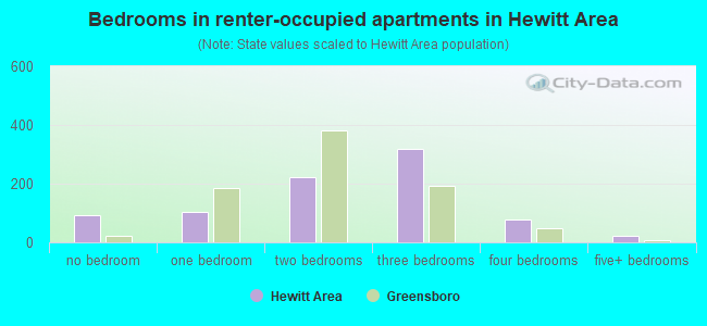 Bedrooms in renter-occupied apartments in Hewitt Area