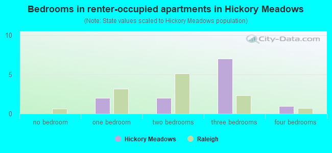 Bedrooms in renter-occupied apartments in Hickory Meadows