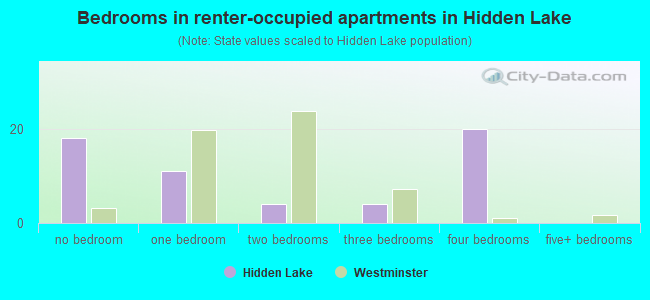 Bedrooms in renter-occupied apartments in Hidden Lake