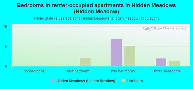 Bedrooms in renter-occupied apartments in Hidden Meadows (Hidden Meadow)